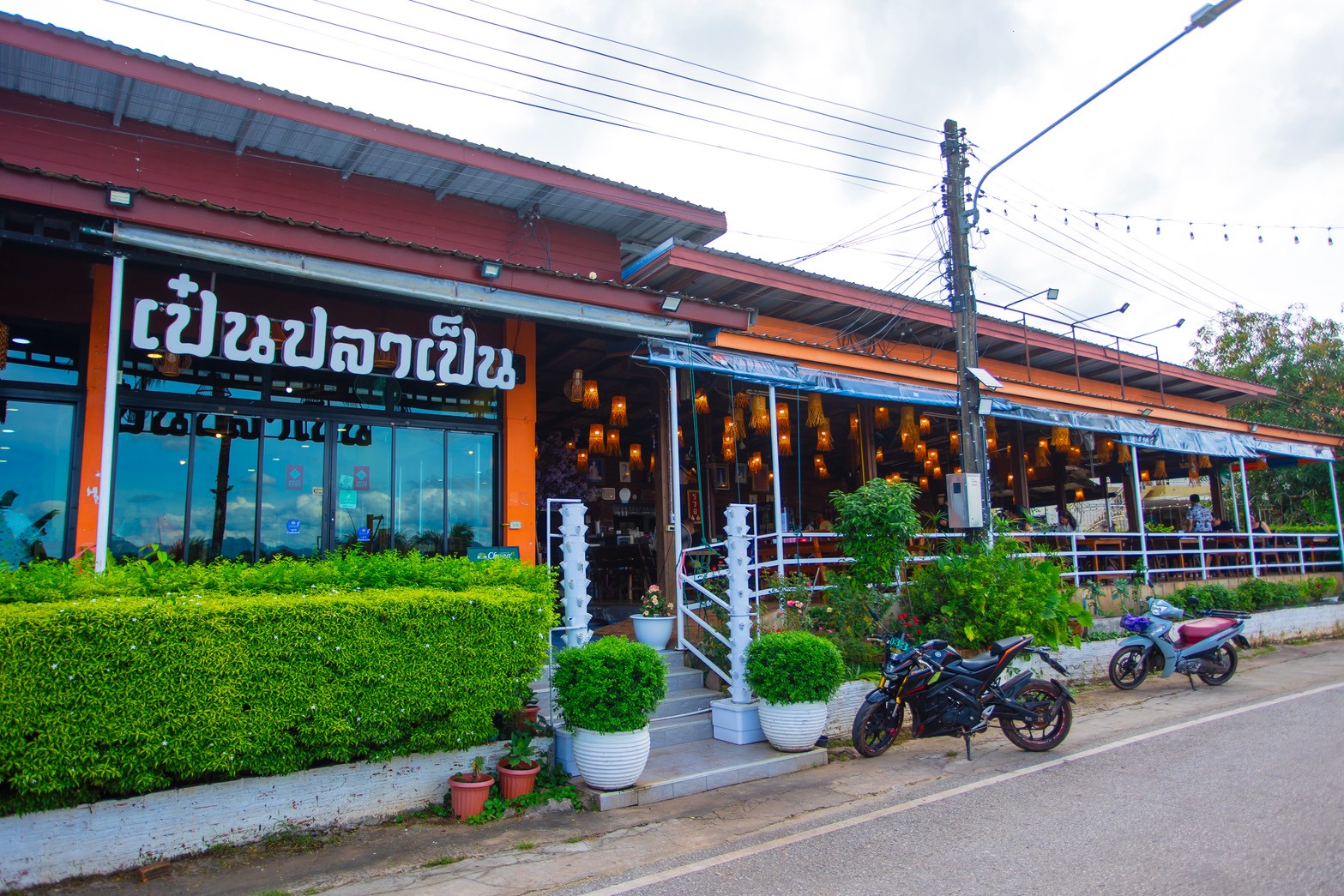 เป่นปลาเป็น